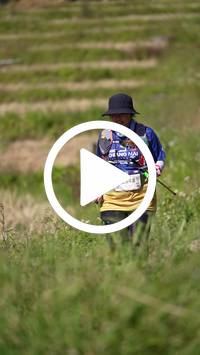 BIB:  <button type="button" onclick="openModal(26787487)" class="btn btn-primary btn-sm float-right" data-toggle="modal" data-target=".modal-high-quality">
                <i class="fa fa-download"></i> Download
                </button>